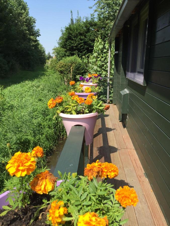 Вилла Gardenhouse Mariposa Бадхоеведорп Экстерьер фото